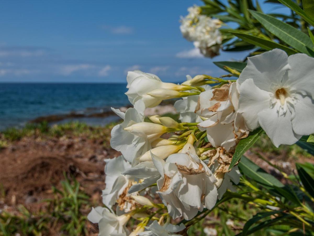 ホテル Silba Otium エクステリア 写真